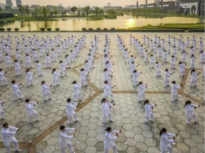 “东阿阿胶”干了些什么?丨全景调查